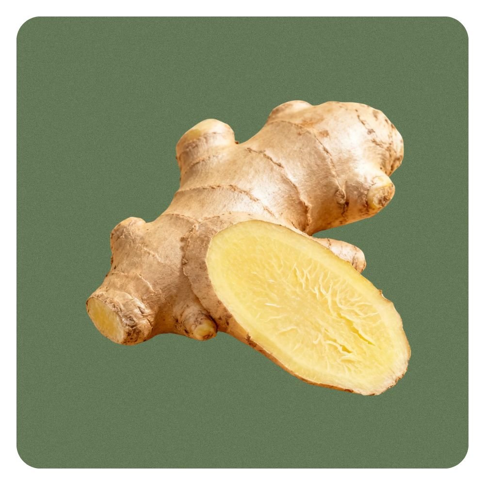 Ginger